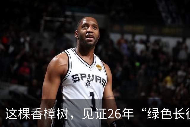 这棵香樟树，见证26年“绿色长征”